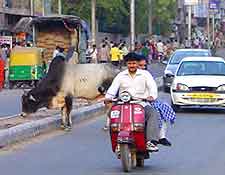 Photo of the city centre traffic