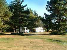 Image of camping / municipal campsite in the New Forest, Hampshitre, England, UK