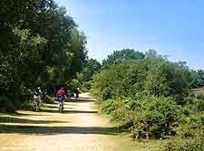 Photo showing a cycle trail in the New Forest, Hampshire, England, UK