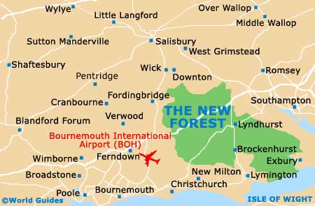 Small New Forest Map