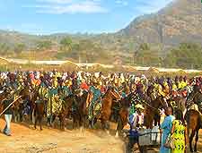 Further picture of Abuja Carnival crowds
