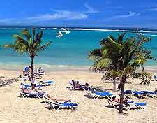 Photo of palm trees and sunbathers on beach in Ocho Rios