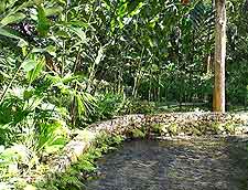 Further picture of the Coyaba River Gardens