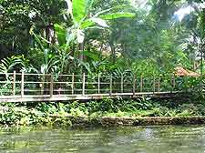 Photograph showing the Coyaba River Gardens