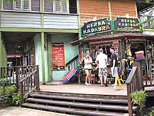 Further picture of the Island Village attraction