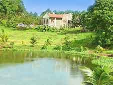 Picture taken in the neighbouring village of Walkerswood, Jamaica