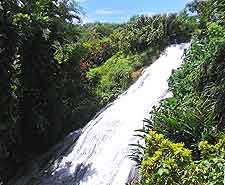 Image taken at the Shaw Park Gardens, Shaw Park Road, Ocho Rios
