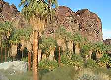 Palm Springs Indian Canyon