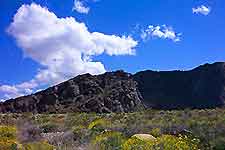 Photograph showing mmountains in Palm Springs