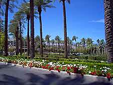 Palm Springs Travel2