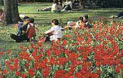 Paris Parks and Gardens