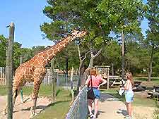 Pensacola Zoo3