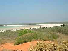 Perth Beach Shark Bay