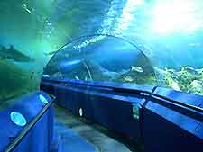 Perth Attractions for Children