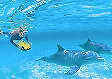 Attractions Nearby Perth