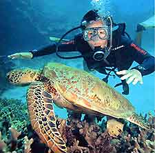 Perth Scuba Diving
