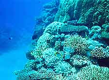 Perth Scuba Diving