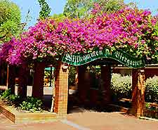 Perth Vineyards and Wines