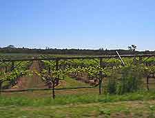 Perth Vineyards and Wines