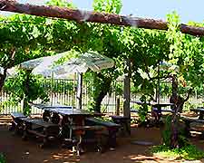 Perth Vineyards and Wines