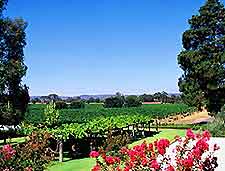 Perth Vineyards and Wines