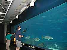 Philadelphia Nj Aquarium