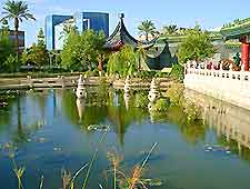Phoenix Chinese Cultural C2