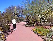 Phoenix Desert Bot Garden4
