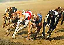 Poole Sports and Outdoor Activities