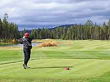 Photo of a golfer
