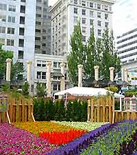 Portland Pioneer Square6