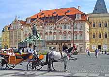 Photo of horse and carriage ride
