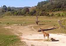 Photo of the city's Zoological Gardens