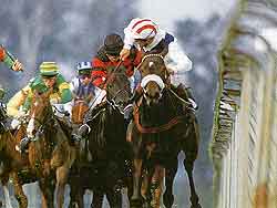 Dublin Sports and Outdoor Activities