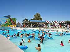 Reno Wild Island