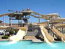 Reno Wild Island2
