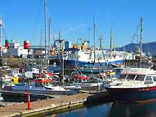 Picture of the bustling harbour