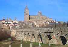 Salamanca Bridge View4