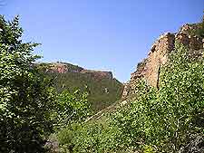 Salt Lake City Cottonwood