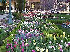 Salt Lake City Temple Sq3