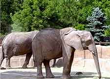 Salt Lake City Zoo2
