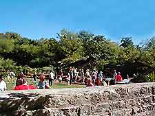 San Antonio Botanical Gard3