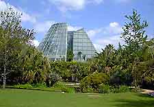 San Antonio Botanical Gard7