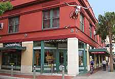 San Antonio Buckhorn Muse2