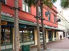 San Antonio Buckhorn Muse3
