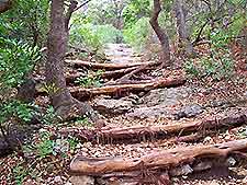 San Antonio Fried Park