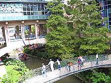 San Antonio Riverwalk View
