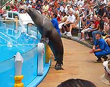 San Diego Seaworld