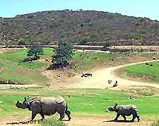 San Diego Wildlife Pk2