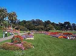 San Francisco Parks and Gardens